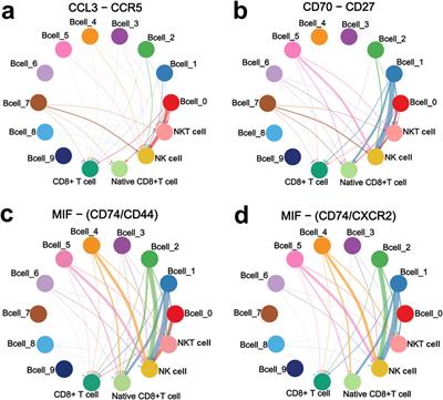 Integrated multi-omics profiling reveals the ZZZ3/CD70 axis is a super-enhancer-driven regulator of diffuse large B-cell lymphoma cell-natural killer cell interactions